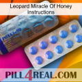 Leopard Miracle Of Honey Instructions 40